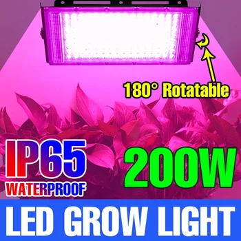 200 Watt led лампа за отглеждане на пълна гама от led 220 В гидропонная фито лампа Лампа за отглеждане на стайни цветя градина, оранжерии, разсад