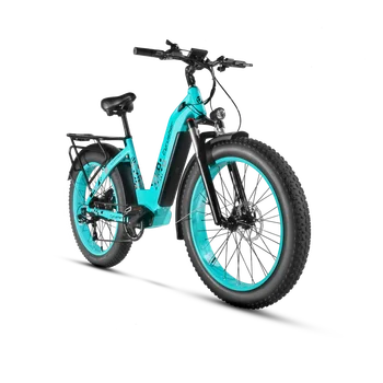 250 W 500 W 750 W 1000 W 48 В Електрически велосипед 4,0 Fat Tire E-bike