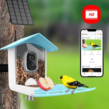 Интелигентна камера за хранене на птици със слънчев панел, камера за наблюдение на птици Автоматично прихващане и запис на видео с птици Безжична външно наблюдение