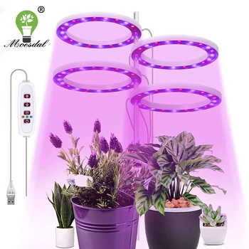 Околовръстен led лампа за растенията, лампа за малки на ръст, с възможност за регулиране на яркостта по време на USB, подходящ за осветление на аквариум за сукуленти в саксии със стайни растения
